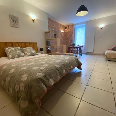 Apartment Le Cocon De Curson Le Cocon Chanos-Curson