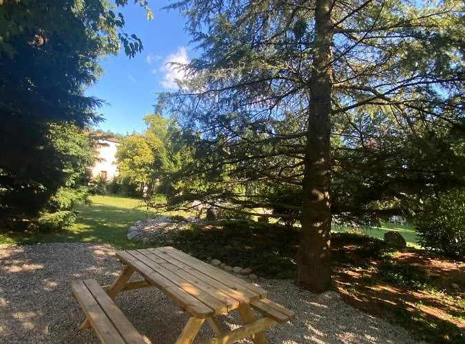 Appartement Le Cocon De Curson Le Cocon